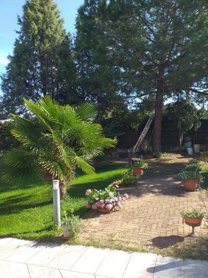 Antica Cascina B&B Borghetto Lodigiano 外观 照片